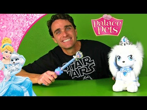 How to Train Your Dog: Palace Pets Magic Dance Pumpkin ! || Disney Toy Reviews || Konas2002