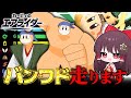 地上と空中を暴走してスカイアを天下統一するバンワドの物語【カービィのエアライダー】【ゆっくり実況】