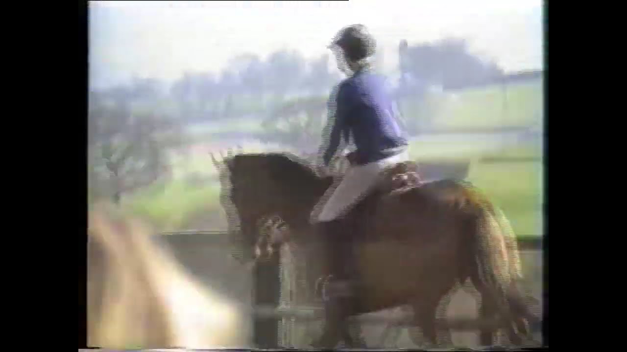 Remembering Brighton Boy.....