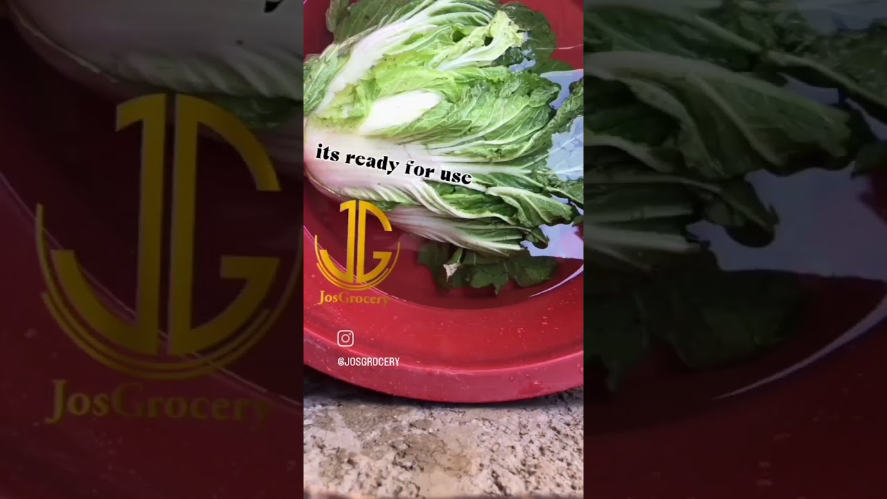 How To Revive Wilted Cabbage Buy Chinese In Nigeria 2024 