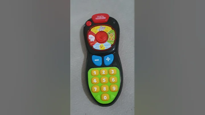 Il Telecomando di Michelle...