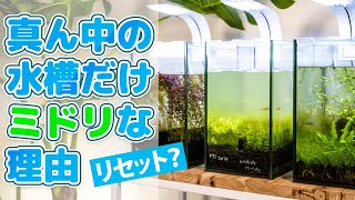 水槽の水が緑色に濁る これはグリーンウォーター 解決したい アクアリウム Youtube 水槽の水が緑色に濁る これはグリーンウォーター 解決したい アクアリウム Youtube
