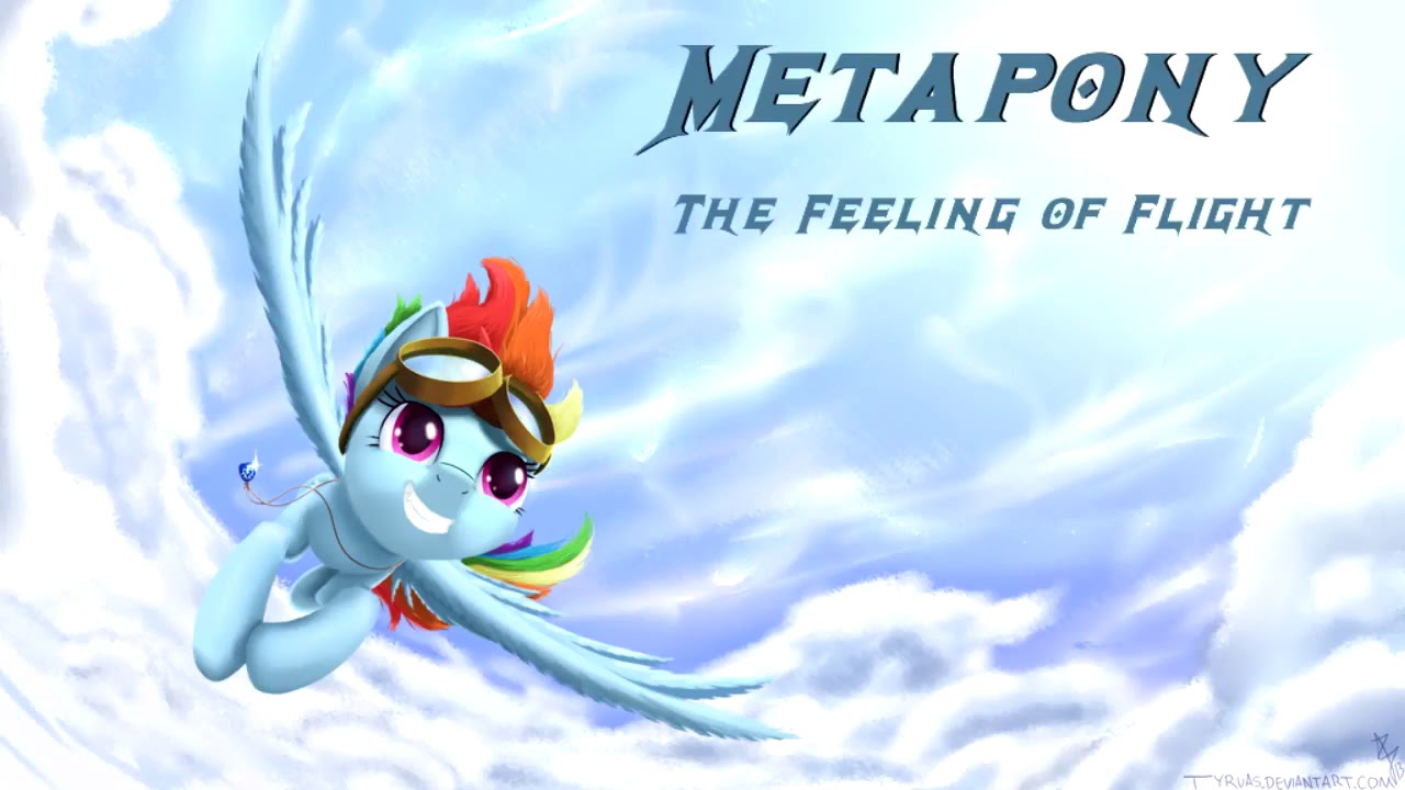 Metapony - The Feeling of Flight