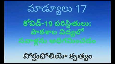 Nishtha module 17 portfolio