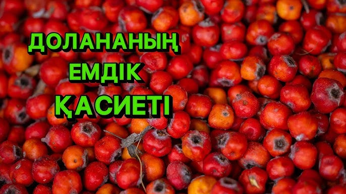 Сперматозоидпен жабылған әдемі қыздардың порно фотосуреттері