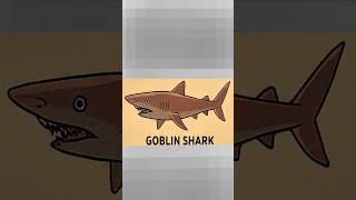 Is The Goblin Shark Earths Real-Life Sea Monster?