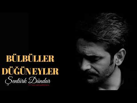 BÜLBÜLLER DÜĞÜN EYLER (Trt Türkü canlı performans) - ŞENTÜRK DÜNDAR