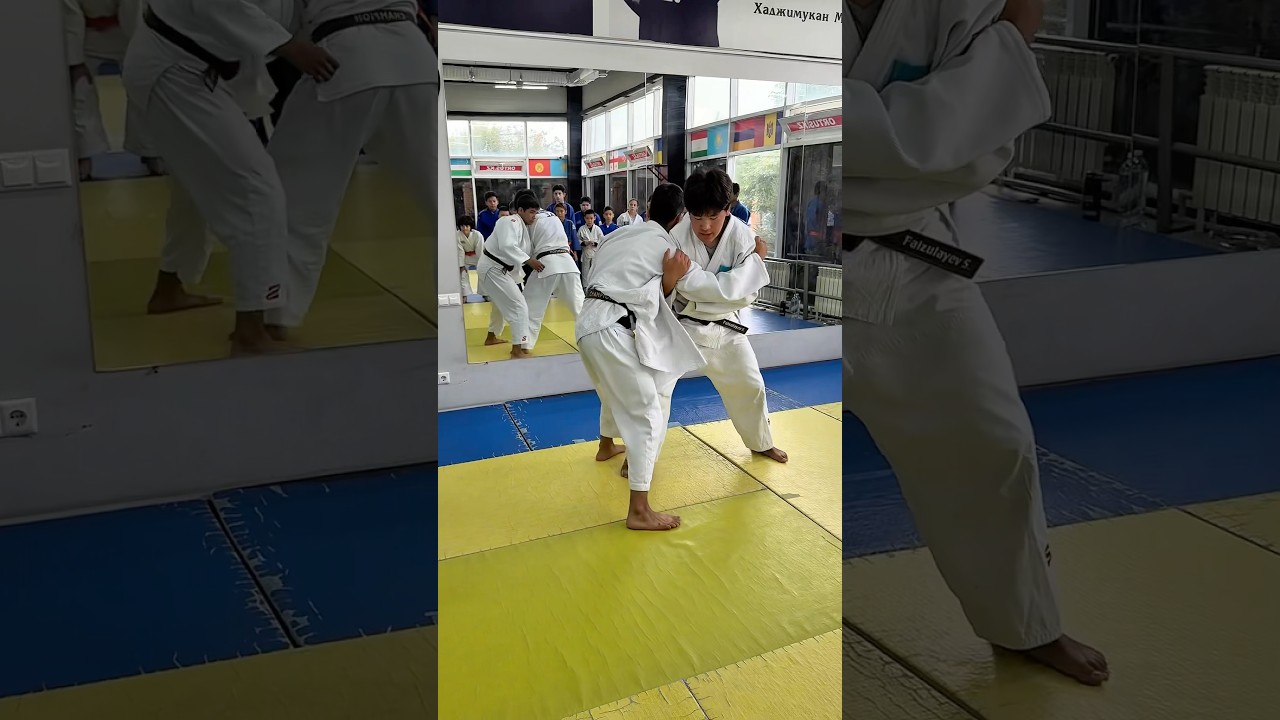 Объяснение приёма Seoi-otoshi