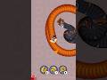 Worm zone io Snake io #wormszone #shorts #wormszonebiggestsnake #snake