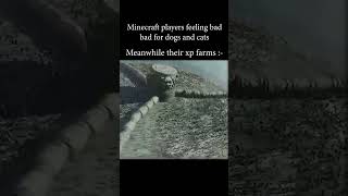 meanwhile their xp farm #minecraft#viral #trending #trend #reallife #great