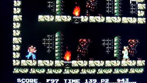 "Vice: Project Doom" NES