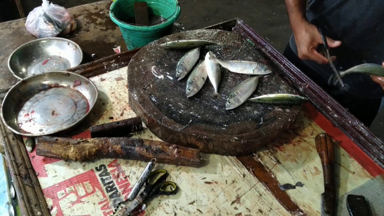 Kembung (Jenara) Ikan Yang Ramai Diminati oleh Masyarakat Indonesia