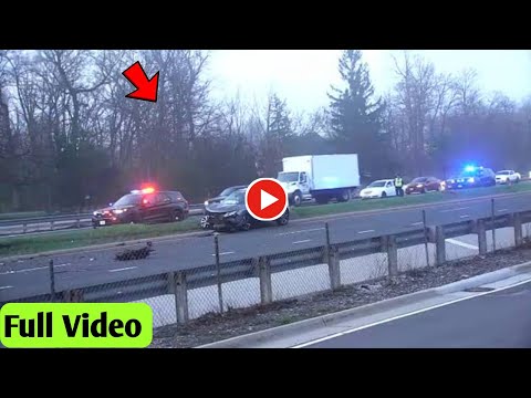 Video Kaylee Hottle Dies at 18 After Tragic Car Accident | Godzilla vs. Kong Star Passes Away