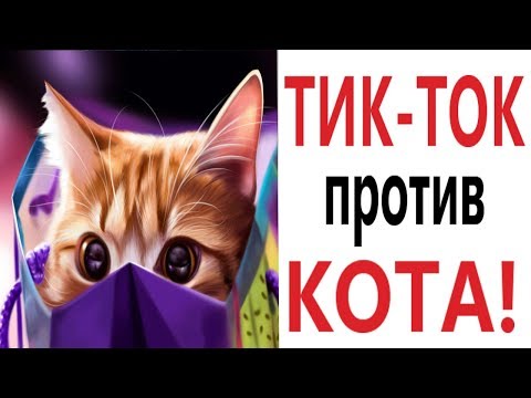 Лютые приколы. ЛАЙФХАКИ ИЗ ТИК-ТОКА ТРОЛЛИТ КОТ!!! Самое смешное видео! РЖАКА ДО слёз! – Domi Show!