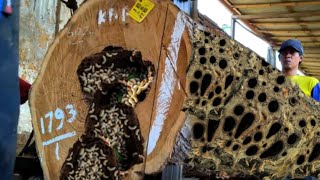 Download Lagu Een angstaanjagend mysterie toen een man een groot gat in een teakboom zaagde MP3 Download Lagu Een angstaanjagend mysterie toen een man een groot gat in een teakboom zaagde MP3