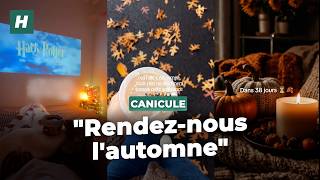 Épuisés par la chaleur, ces internautes ne veulent plus de l’été et rêvent de l’automne