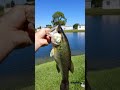 my son's first big bass! #fishing #bass #fish #memories #let'sgo #fullsend #funny #cool #ai