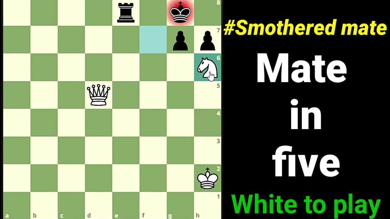 smothered mate Puzzle