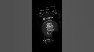 today cipher codes #newsong #song #hamsterkombat #punjabi #ciphercode #music #ciphercodes #dailycomb