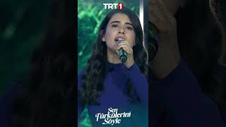 Mergül Palta - Gel Gönül Gidelim Aşk Ellerine Ürkülerinisöyle