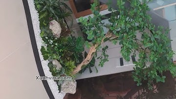 Tiểu cảnh gầm cầu thang với cây thiên lộc giả