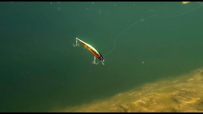 DUO Realis Jerkbait 120SP Goatfish 18g - Lure Fishing for Bass