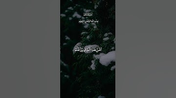 ﴿سورة الملك﴾ #قران_كريم #المصحف #اكسبلور #لايك