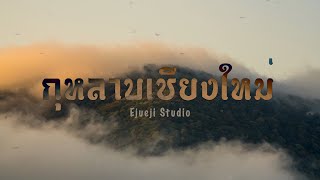 กุหลาบเชียงใหม่ - [ Ejueji Studio ]