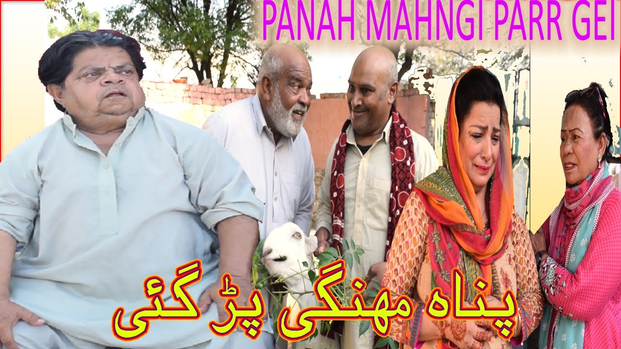 Panah Mahngi Parr gei ǁ New Pothwari Drama ǁ Shahzada Ghaffar Mithu ǁ Pakistani Choto Funny Video