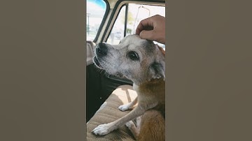 Back to our regular schedule program after a long labor day weekend.