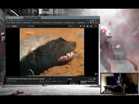 Xtreme Honey Badger Voice Over - YouTube