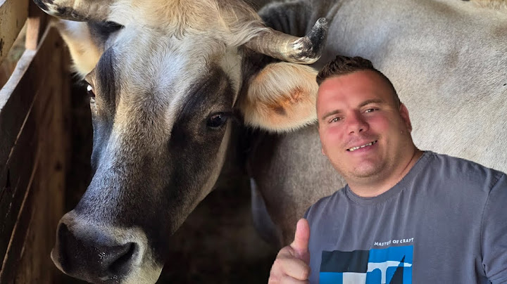 Stigla novina selo nije za svakog ali za mene je sve #farming