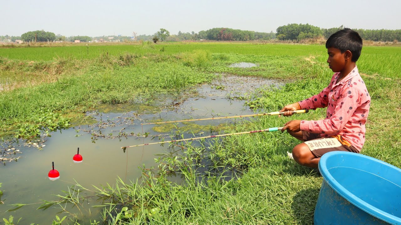Fishing Video 🎣|| The boy always catches a lot of fish from the village ...