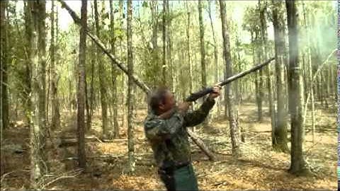 Removing Widow Maker Trees