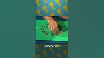 The clockface and coins puzzle