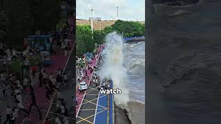 Chinas Mysterious Silver Dragon Tide