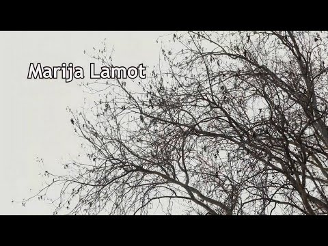 Poetski tren: Marija