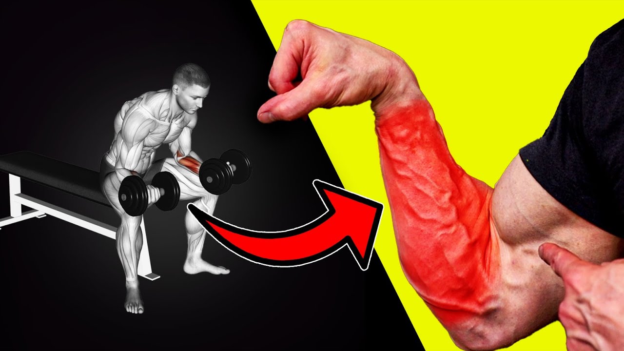 5 Best Exercise For Bigger Forearms At Home (Dumbbells Only!) - YouTube