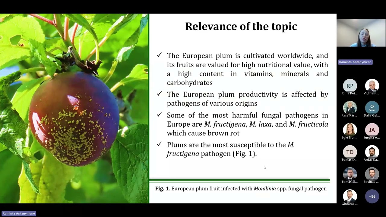 Nuotolinė diskusija GENETINIAI, BIOTECHNOLOGINIAI IR SELEKCINIAI SPRENDIMAI AUGALŲ BIOĮVAIROVEI...