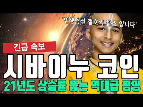 시바이누 코인 21년도 상승률 뚫는 역대급 펌핑 매도 타점 공개