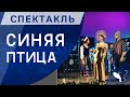 Спектакль — Синяя птица