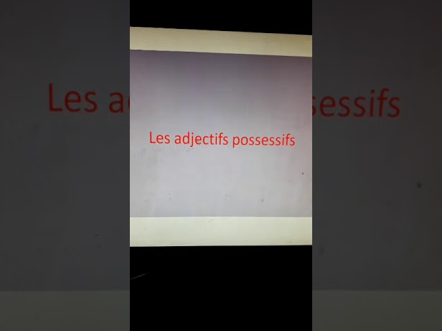 Les adjectifs possessifs