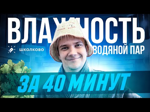 Видео: Влажность и водяной пар за 40 минут | Первая часть для ЕГЭ 2024 по физике