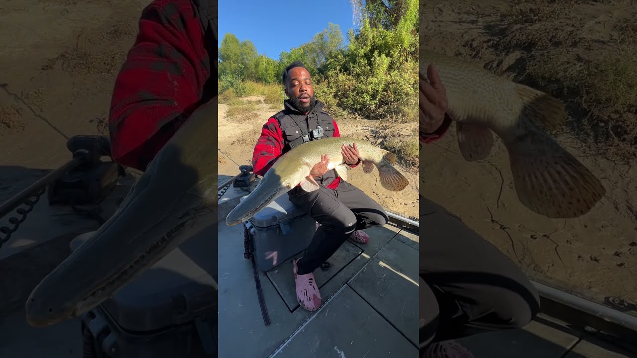 Alligator Gar CATCH COOK With CASH NASTY Is It Any Good 