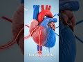 #shailendra #palsir #trending #viral #cardiaccycle