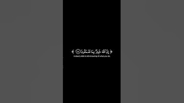 اكتب شيء تؤجر عليه 😊❤️القرآن الكريم شاشة سوداء