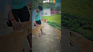 जेल स्टार #Raushan Rohi | कुर्बानी | #Srishti Bharti | Kurbani | New #Rangdari #Maghi Song 2025💖