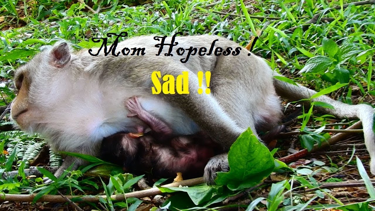 foundation medicine Breathing Pain, Lizzy Uterus Sickness Breathing Hard Nursing Newborn baby Lizza coz Hurt Her Back