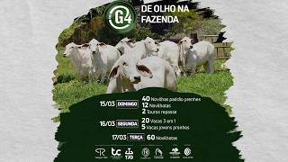 LOTE 107   TRO 1121