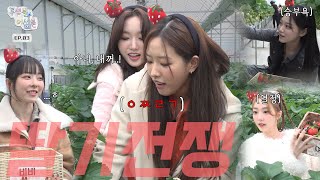 [ENG] 도대체 이렇게까지 하는 이유가…? 🍓딸기 따다가 전쟁까지 일으킨.ssul 💣 | 루셈블어셈블 EP.03